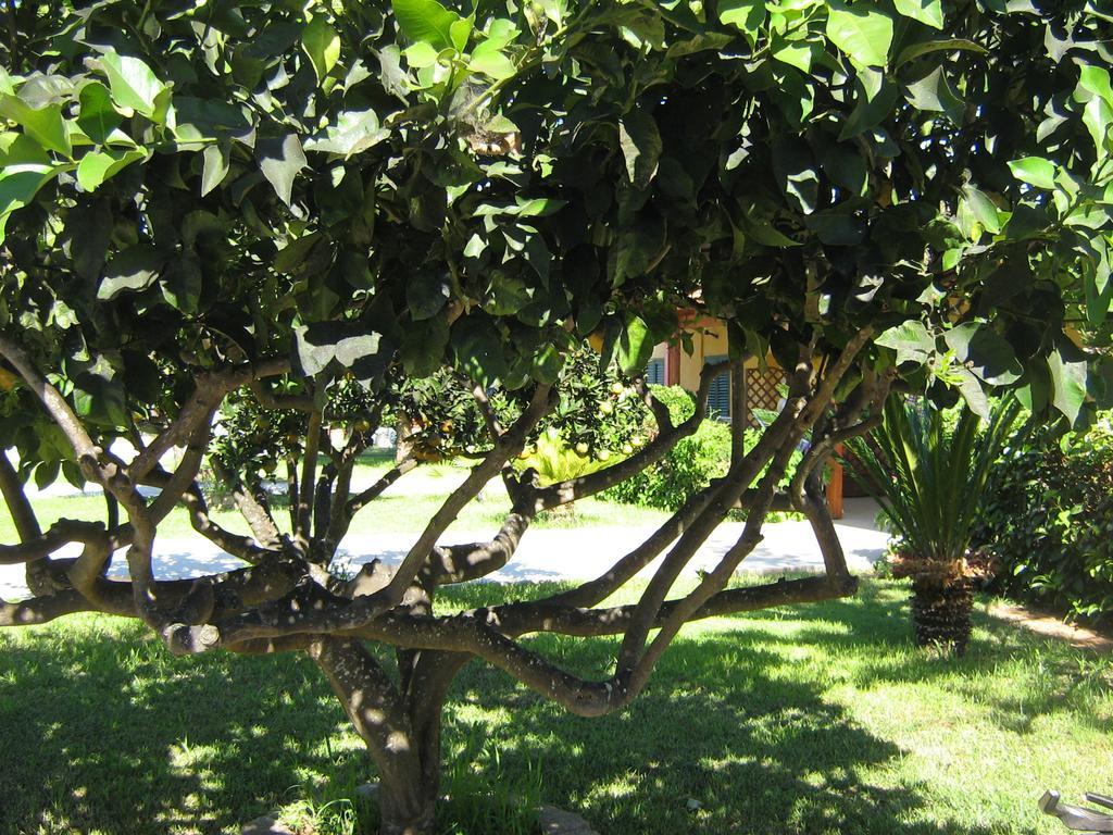 Tenuta Paifer Otranto Kültér fotó
